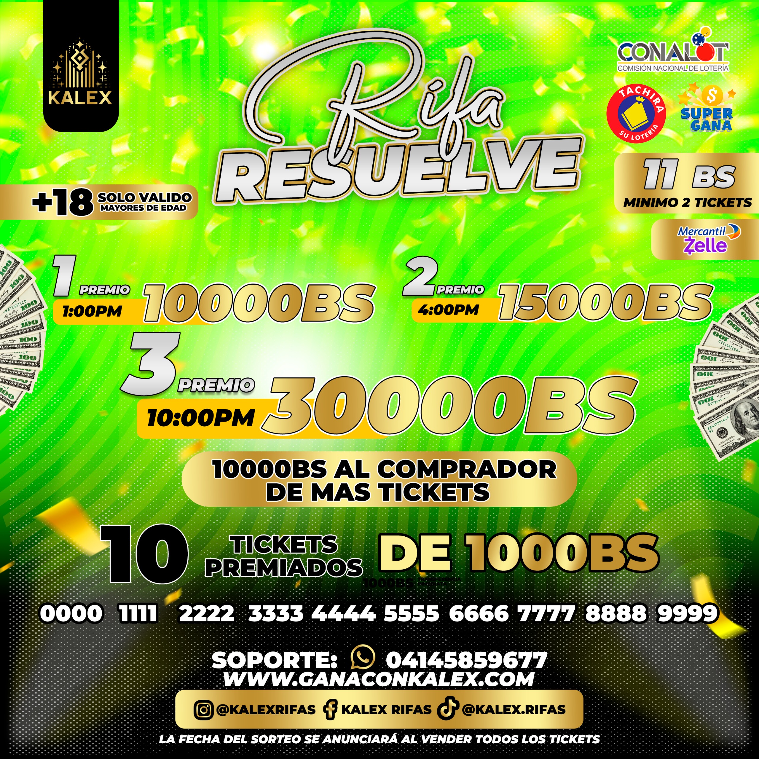 RESUELVE